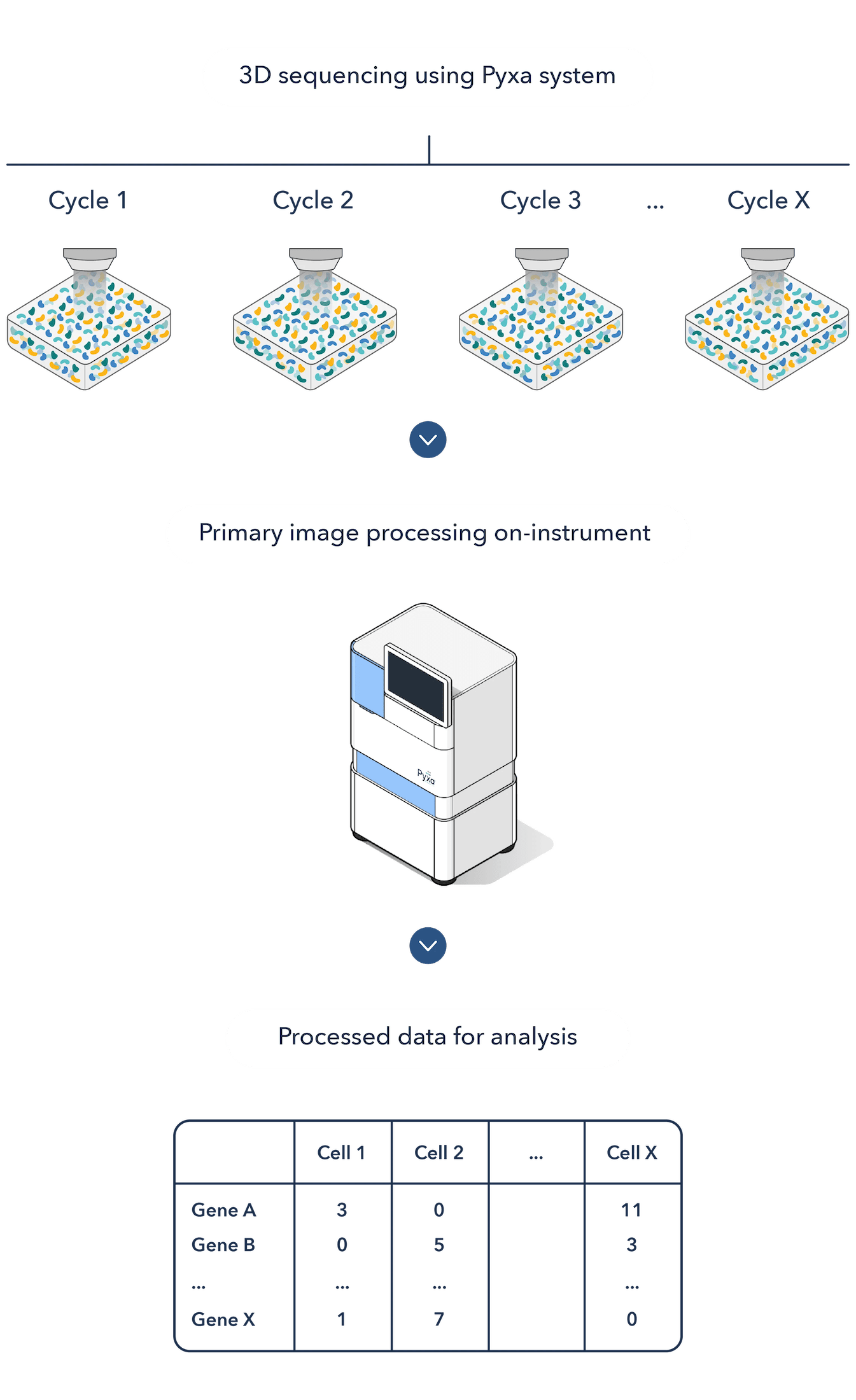 Data analysis process