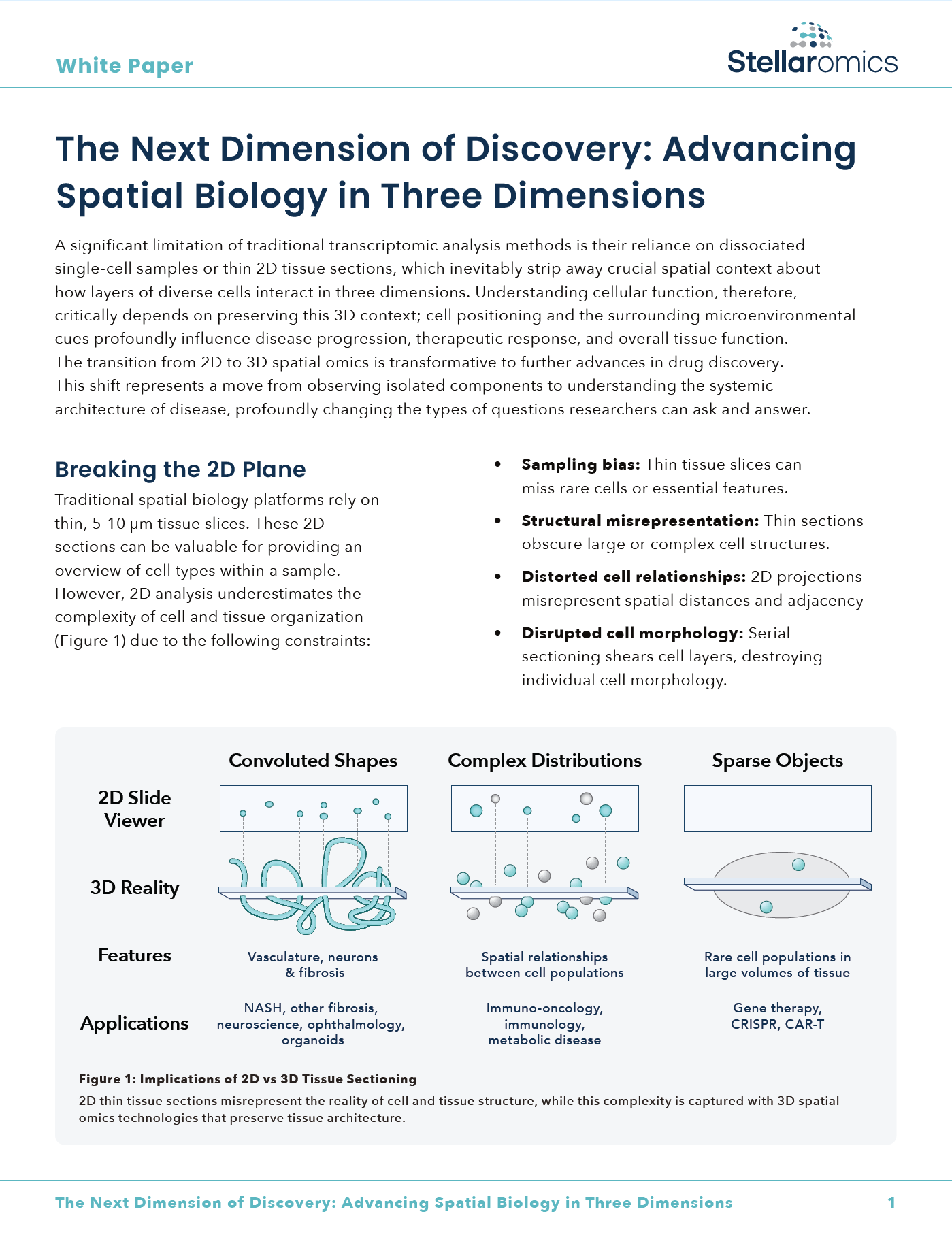 Whitepaper | The Next Dimension of Discovery: Advancing Spatial Biology in Three Dimensions
